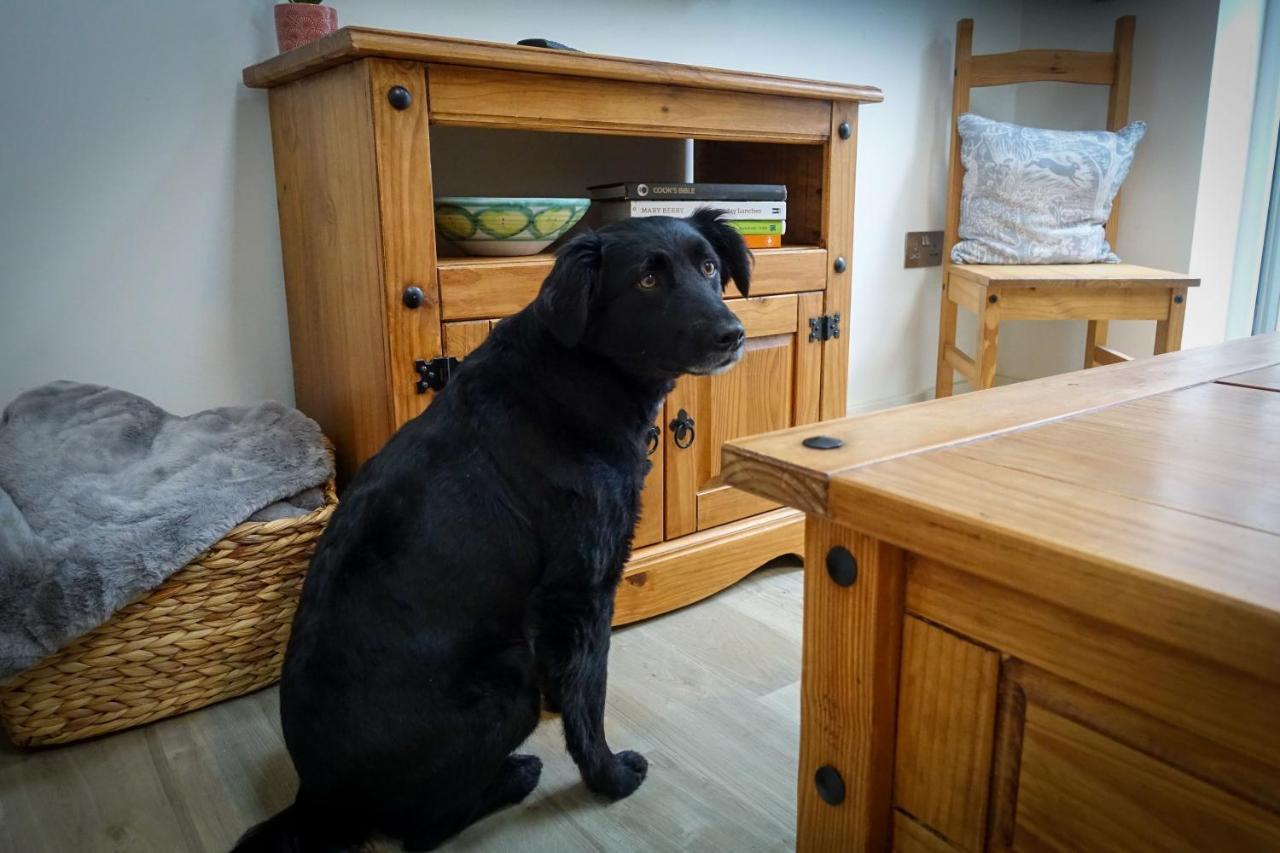 Sennen Cove Retreat Apartment Екстериор снимка